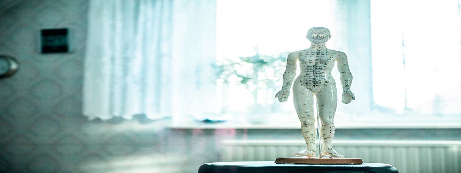 diferencias entre osteopata y fisioterapeuta